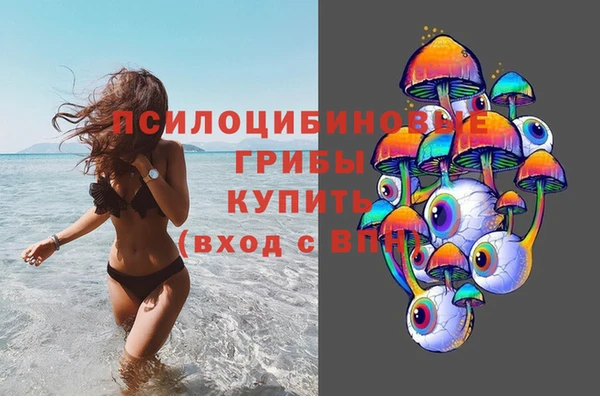 мяу мяу мука Белоозёрский